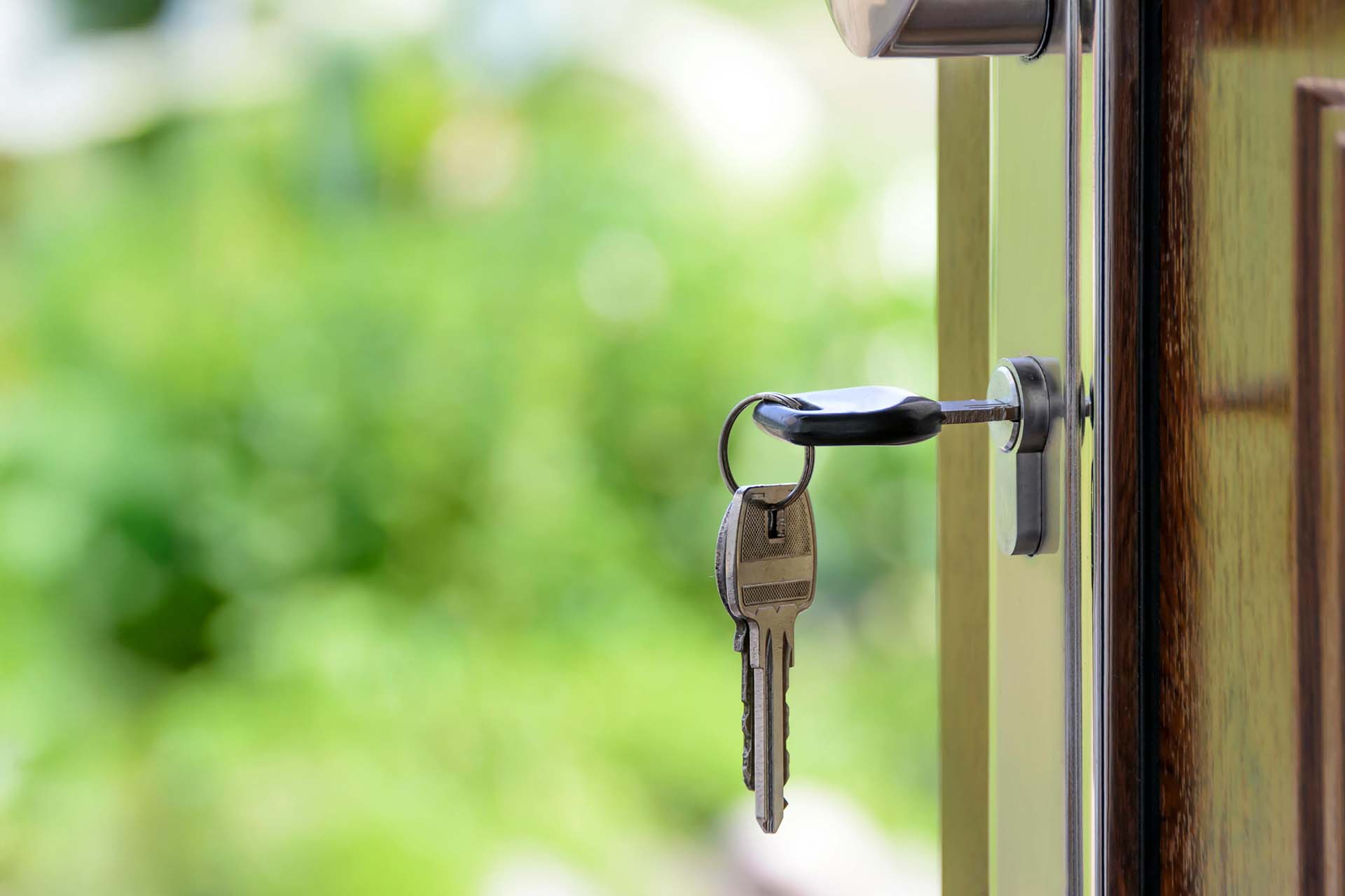 contact tison real estate bg